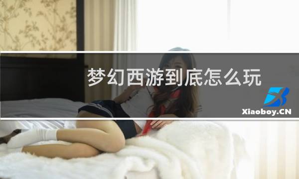 梦幻西游到底怎么玩