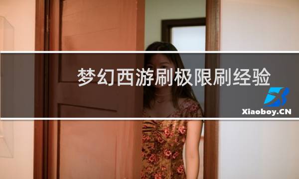 梦幻西游刷极限刷经验