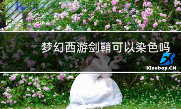 梦幻西游剑鞘可以染色吗