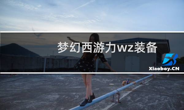 梦幻西游力wz装备