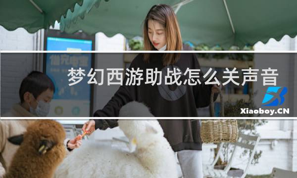 梦幻西游助战怎么关声音