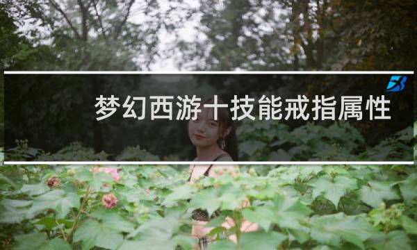 梦幻西游十技能戒指属性