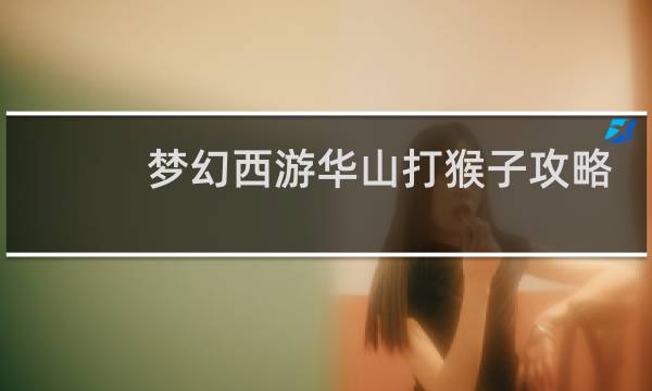 梦幻西游华山打猴子攻略