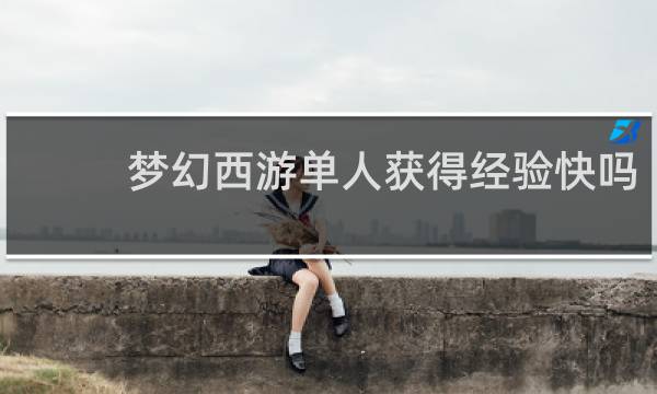 梦幻西游单人获得经验快吗