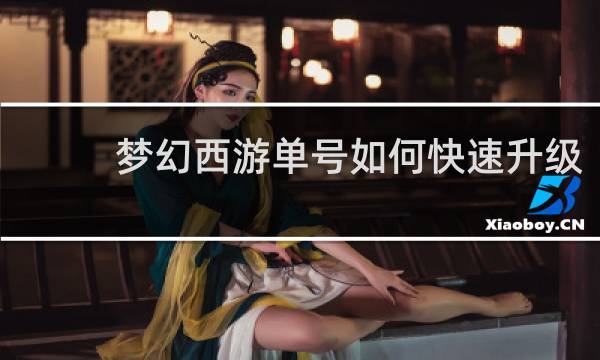 梦幻西游单号如何快速升级