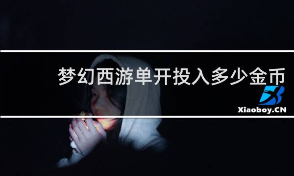 梦幻西游单开投入多少金币