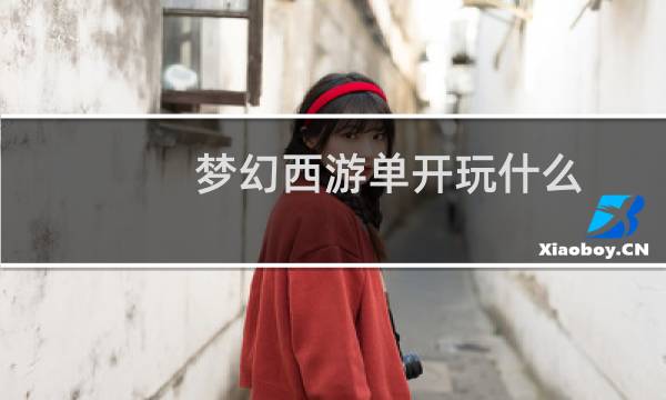 梦幻西游单开玩什么