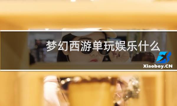 梦幻西游单玩娱乐什么