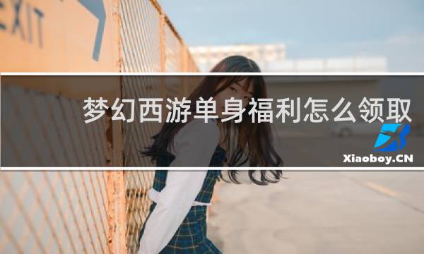 梦幻西游单身福利怎么领取