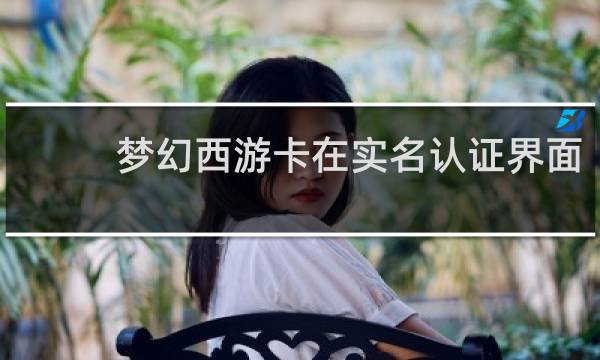 梦幻西游卡在实名认证界面