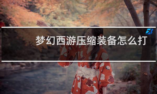 梦幻西游压缩装备怎么打