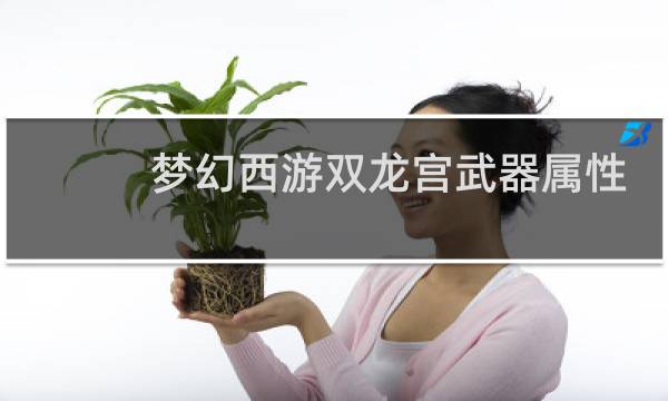 梦幻西游双龙宫武器属性