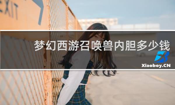 梦幻西游召唤兽内胆多少钱