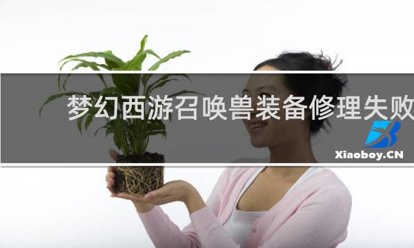 梦幻西游召唤兽装备修理失败