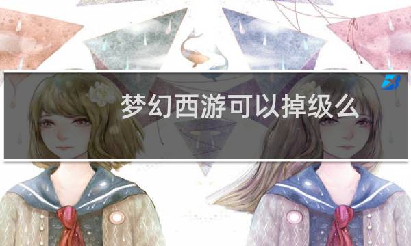 梦幻西游可以掉级么