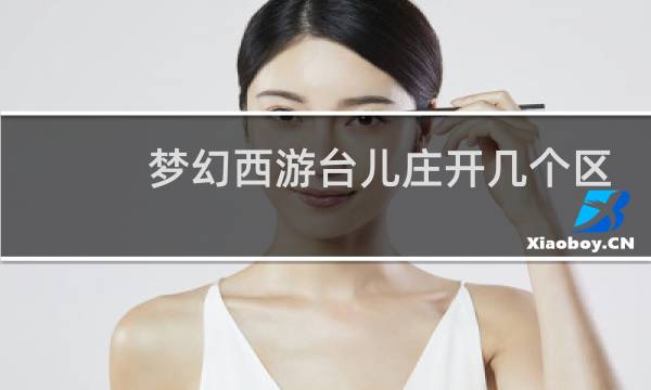 梦幻西游台儿庄开几个区