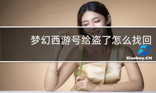 梦幻西游号给盗了怎么找回