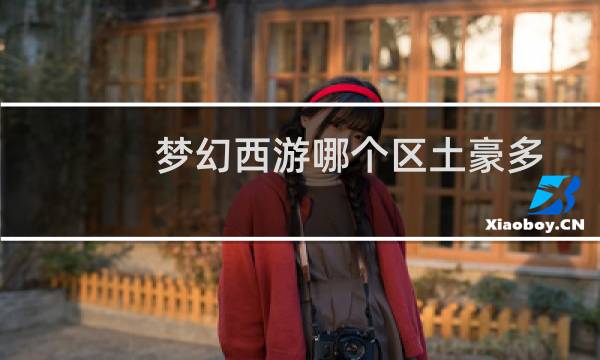 梦幻西游哪个区土豪多