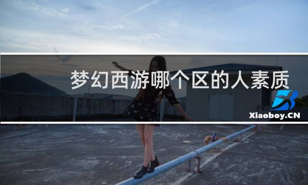 梦幻西游哪个区的人素质