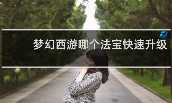 梦幻西游哪个法宝快速升级