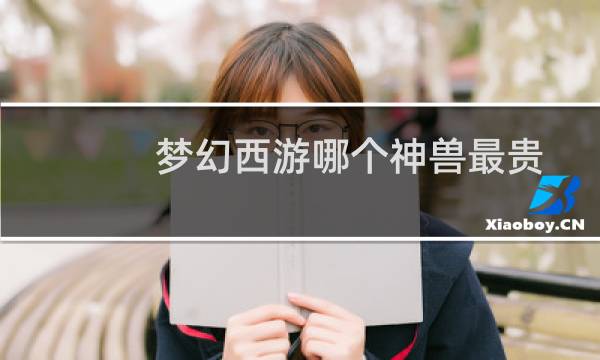 梦幻西游哪个神兽最贵