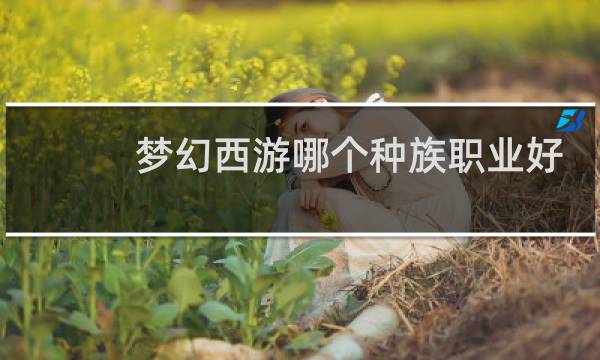梦幻西游哪个种族职业好