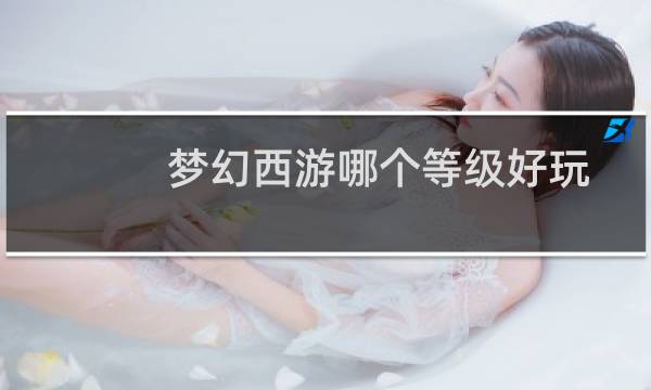 梦幻西游哪个等级好玩