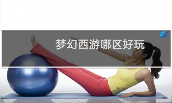 梦幻西游哪区好玩