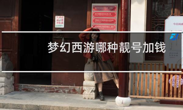 梦幻西游哪种靓号加钱