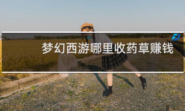 梦幻西游哪里收药草赚钱