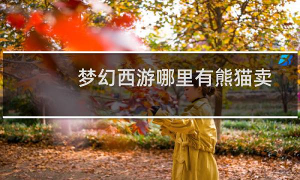 梦幻西游哪里有熊猫卖