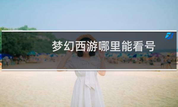 梦幻西游哪里能看号