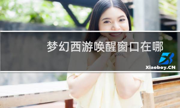 梦幻西游唤醒窗口在哪