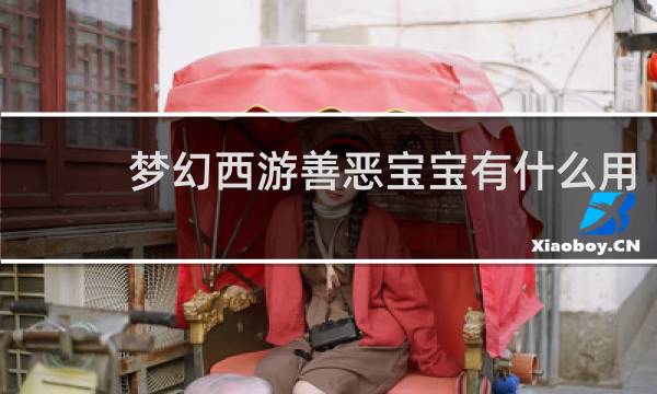 梦幻西游善恶宝宝有什么用