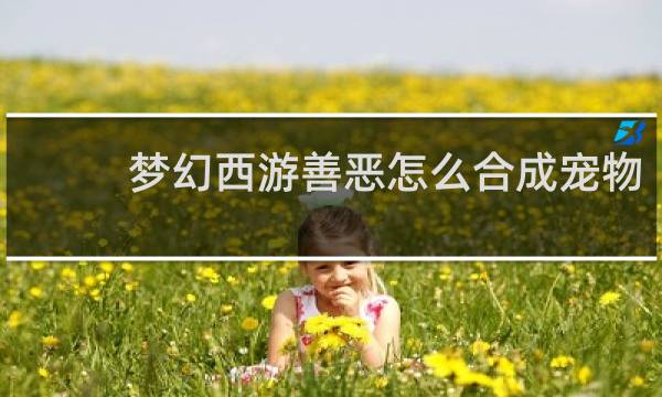 梦幻西游善恶怎么合成宠物