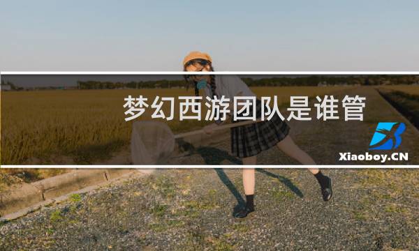 梦幻西游团队是谁管