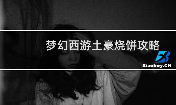 梦幻西游土豪烧饼攻略