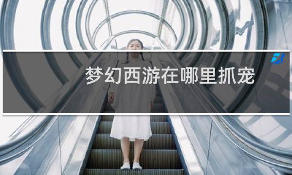 梦幻西游在哪里抓宠