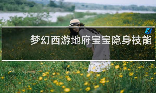 梦幻西游地府宝宝隐身技能