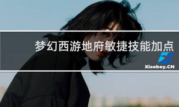 梦幻西游地府敏捷技能加点