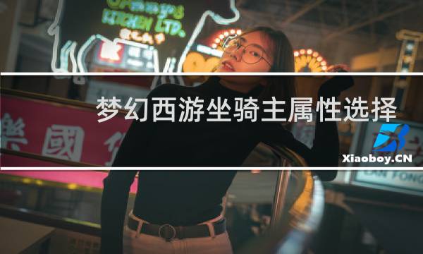 梦幻西游坐骑主属性选择