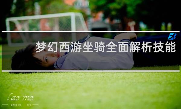 梦幻西游坐骑全面解析技能