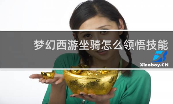 梦幻西游坐骑怎么领悟技能