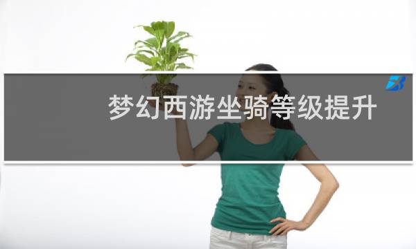 梦幻西游坐骑等级提升