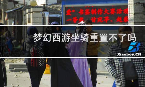 梦幻西游坐骑重置不了吗