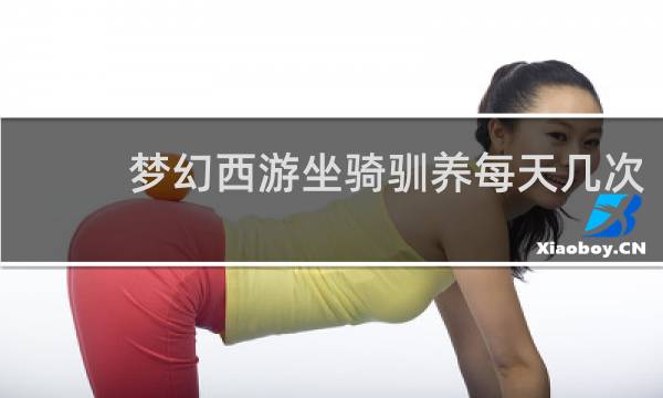 梦幻西游坐骑驯养每天几次