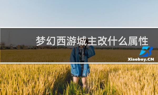 梦幻西游城主改什么属性