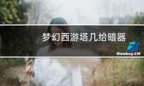 梦幻西游塔几给暗器