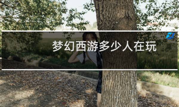 梦幻西游多少人在玩