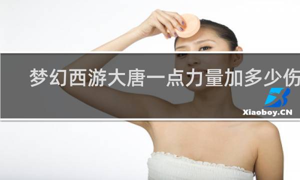 梦幻西游大唐一点力量加多少伤害